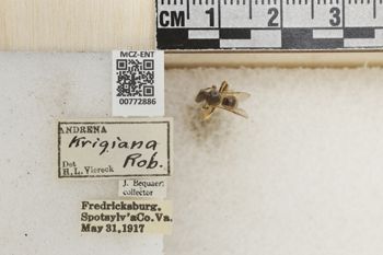 Media type: image;   Entomology 772886 Aspect: Labels